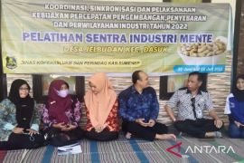 Pemkab Sumenep percepat pemulihan ekonomi melalui pelatihan industri rumahan