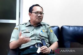 Kementan akan uji DNA benih untuk peremajaan sawit rakyat