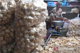 FKP3 dukung KPK usut dugaan korupsi impor bawang putih