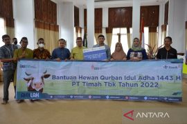 PT Timah salurkan 239 hewan kurban di wilayah operasional
