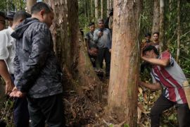 Bupati Pakpak Bharat kunjungi kawasan pelestarian hutan kapur