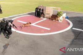 Unit K-9 Direktorat Samapta Polda Kalbar miliki sejumlah fungsi pengamanan tugas kewilayahan