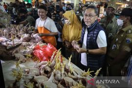 Pemerintah segera distribusikan minyak goreng kemasan ke timur Indonesia