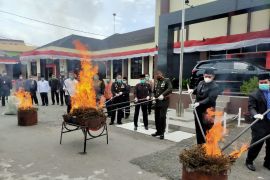 Polres Aceh Tengah musnahkan 101 kilogram ganja