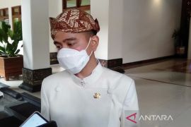 Ratusan perwakilan G20 ikut serta Kirab TIIWG