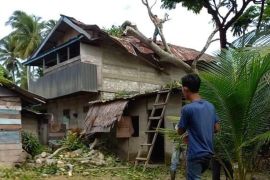 Rumah rusak ditimpa pohon akibat angin kencang