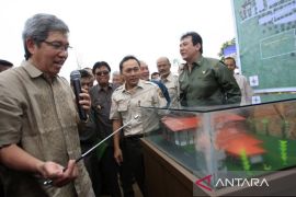 Perubahan fungsi hutan berdampak pada makanan gajah makin terbatas