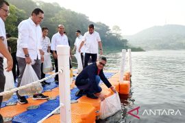 Hasto tebar benih ikan di Waduk Jatiluhur