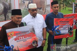 Presiden Jokowi berikan sapi kurban seberat 850 Kg untuk warga Maluku, diserahkan di Masjid Al-Fatah