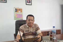 Lebih 100 lampu jalan bakal diganti jelang Festival Pacu Jalur