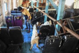 Pengiriman Hewan Kurban Ke Kepulauan Seribu