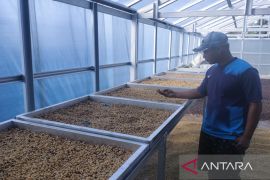 Desa IV Suku Menanti miliki koperasi pengolahan kopi