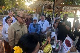 Menparekraf kunjungi lapak UMKM lokal di Buleleng