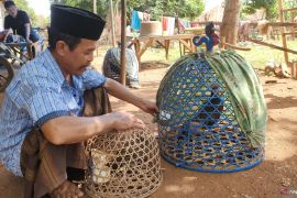 Suliyadi dan Ramudin, sisa penangkar bekisar di Kangean