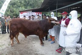 Pemkab Bangkalan libatkan TNI-Polri bantu percepat vaksinasi PMK