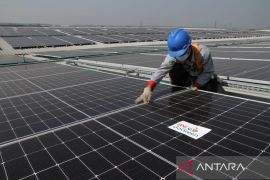 KALBE Nutritionals-Aruna PV-BNI komitmen kurangi karbon