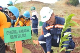 Peringati HUT, ANTAM tanam ribuan bibit pohon