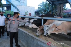 Kapolda Sumut sidak lokasi peternakan di Deli Serdang