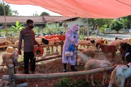 Cegah PMK, Polres Gresik disinfeksi sejumlah kandang ternak