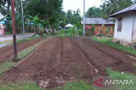 Masyarakat Gorontalo Utara tanam 80 ribu bibit "rica" di pekarangan