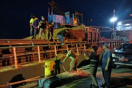 Tim Satgas Aman Nusa II PMK Kalbar disinfektan 1.800 ekor kambing dari NTT