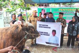 Jokowi, West Papua administration donate cows for Idul Adha