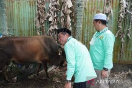 Pemkot Banjarmasin lakukan gerakan kurban asik tanpa sampah plastik