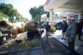 Pemkot Madiun siapkan 1.000 paket daging kurban untuk anak stunting