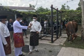 Masjid Agung Batam bagikan daging kurban hingga ke pulau-pulau penyangga