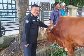 Kapolda Sumut sumbang seekor sapi untuk kurban PWI