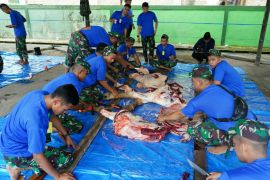 Korem 091/ASN sembelih 17 ekor sapi kurban
