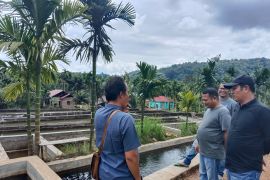 Perantau Silayang Agam kembangkan budidaya ikan tingkatkan ekonomi masyarakat (Video)