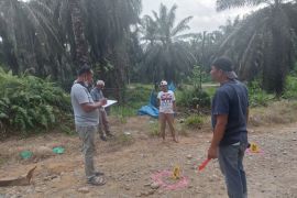 Seorang wanita ditemukan tewas bersimbah darah di areal perkebunan sawit