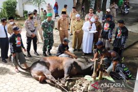 Pemkab Banjar bagikan ribuan kantong daging kurban