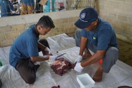 UPZ PKT sasar mustahiq hingga ujung negeri melalui kurban Online Baznas