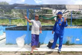 Polisi perairan Jambi bantu ribuan benih ikan untuk petani di bantaran Sungai Batanghari