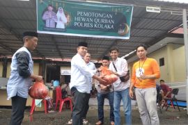 Polres Kolaka salurkan 700 kantong daging hewan kurban