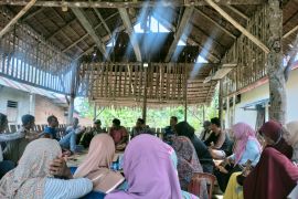 Soal tambang pasir besi Seluma, Walhi minta pemerintah berpihak pada rakyat