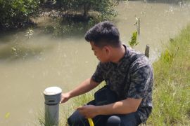 Kejati Sumut cek kawasan hutan lindung di Sergai dikuasai mafia tanah