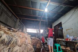 Pengepul kulit mendulang rupiah