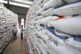 Bulog Cirebon serap 40 ribu ton beras milik petani