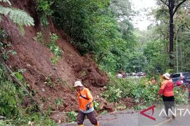 Jalur Jember-Banyuwangi macet panjang akibat longsor di Gunung Gumitir