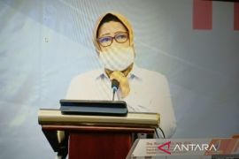 Public knowledge on herbs, traditional medicines needs to be improved: BPOM