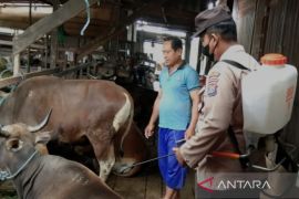 TNI dan Polri cegah penularan PMK