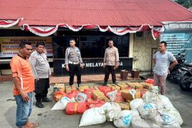 Polisi sita 1 ton miras Sopi tak bertuan di Angkot Ambon
