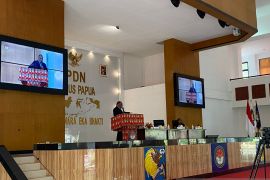 Wakil Mendagri sebut tiga DOB di Papua akan jadi pilot project