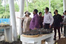 Pusat Pendidikan berbasis komunitas "Amisewaka DLCC" buka di Buleleng