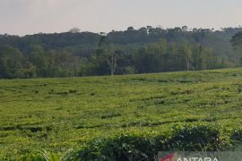 Komite Reforma Agraria Sumsel dukung  pemberantasan mafia tanah