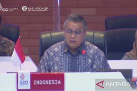 G20 members should address risks of financial exclusion: BI