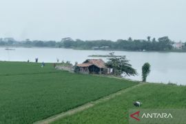 Atasi kekeringan sawah, Pemkab Karawang bangun embung di wilayah utara